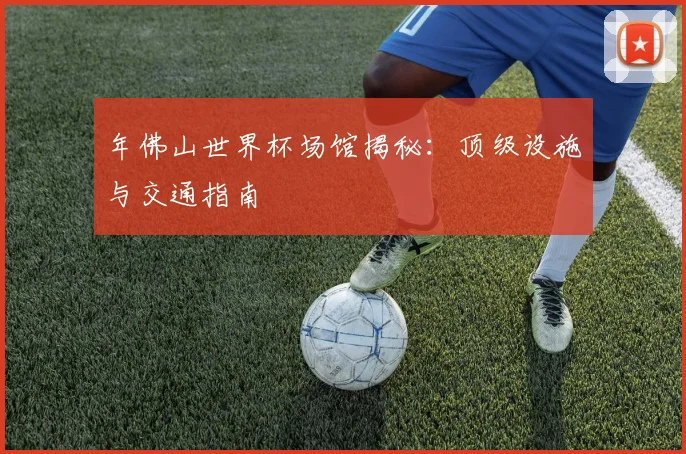 年佛山世界杯场馆揭秘:顶级设施与交通指南