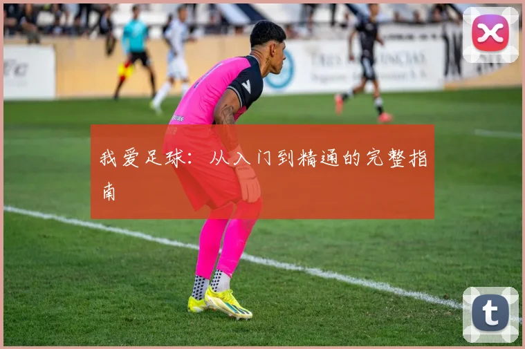 我爱足球：从入门到精通的完整指南