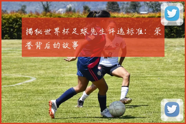 揭秘世界杯足球先生评选标准:荣誉背后的故事